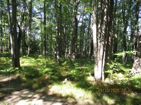 00 Firelane Trail, Lake George MI 48633 photo 2