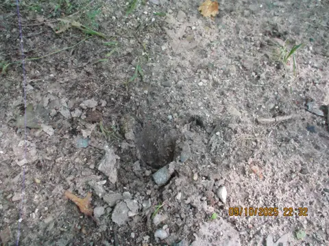 00 Firelane Trail, Lake George MI 48633 photo 3