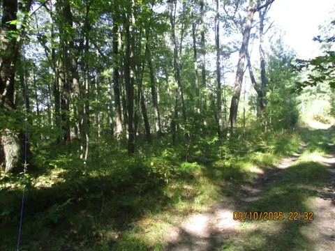 00 Firelane Trail, Lake George MI 48633 photo 4