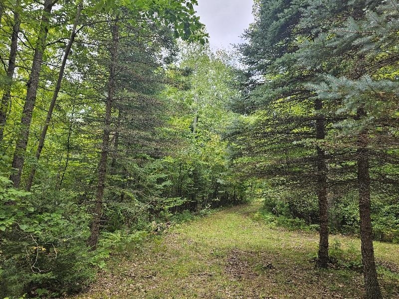 3900 N M 30 Road, Gladwin MI 48624 photo 1
