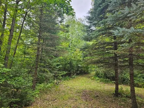 3900 N M 30 Road, Gladwin MI 48624 photo 4