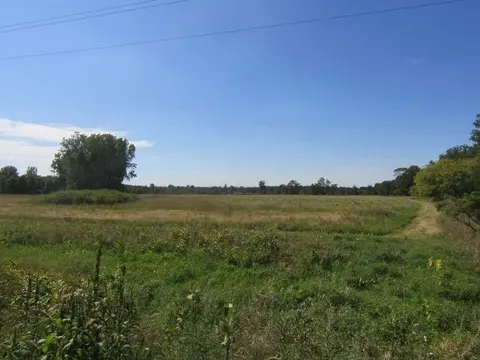 V/L Morrice Rd. Road, Owosso MI 48867 photo 2