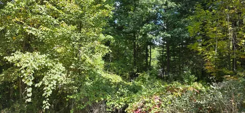 Lot 48 Blackberry Road, Gladwin MI 48624 photo 1