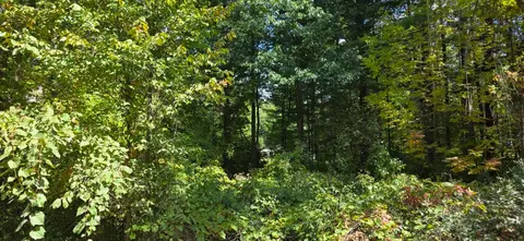 Lot 48 Blackberry Road, Gladwin MI 48624 photo 2