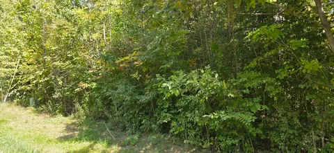 Lot 48 Blackberry Road, Gladwin MI 48624 photo 3