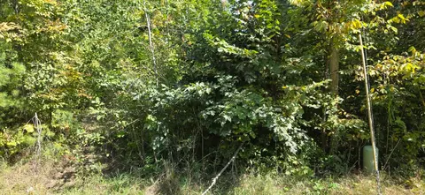 Lot 48 Blackberry Road, Gladwin MI 48624 photo 4