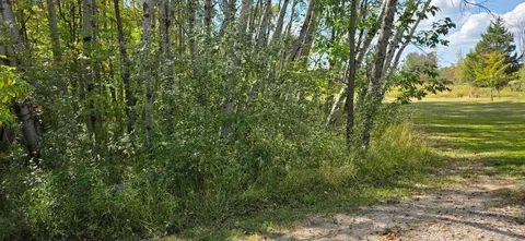 1832 Bye Way, Gladwin MI 48624 photo 3
