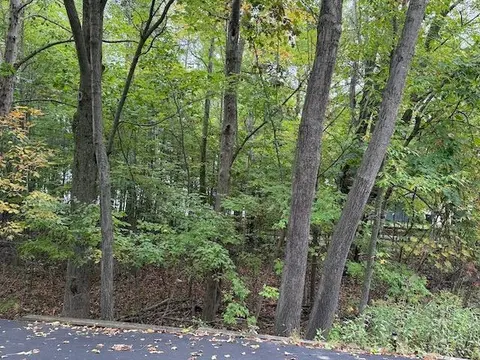 36 Salisbury Drive, Gladwin MI 48624 photo 3
