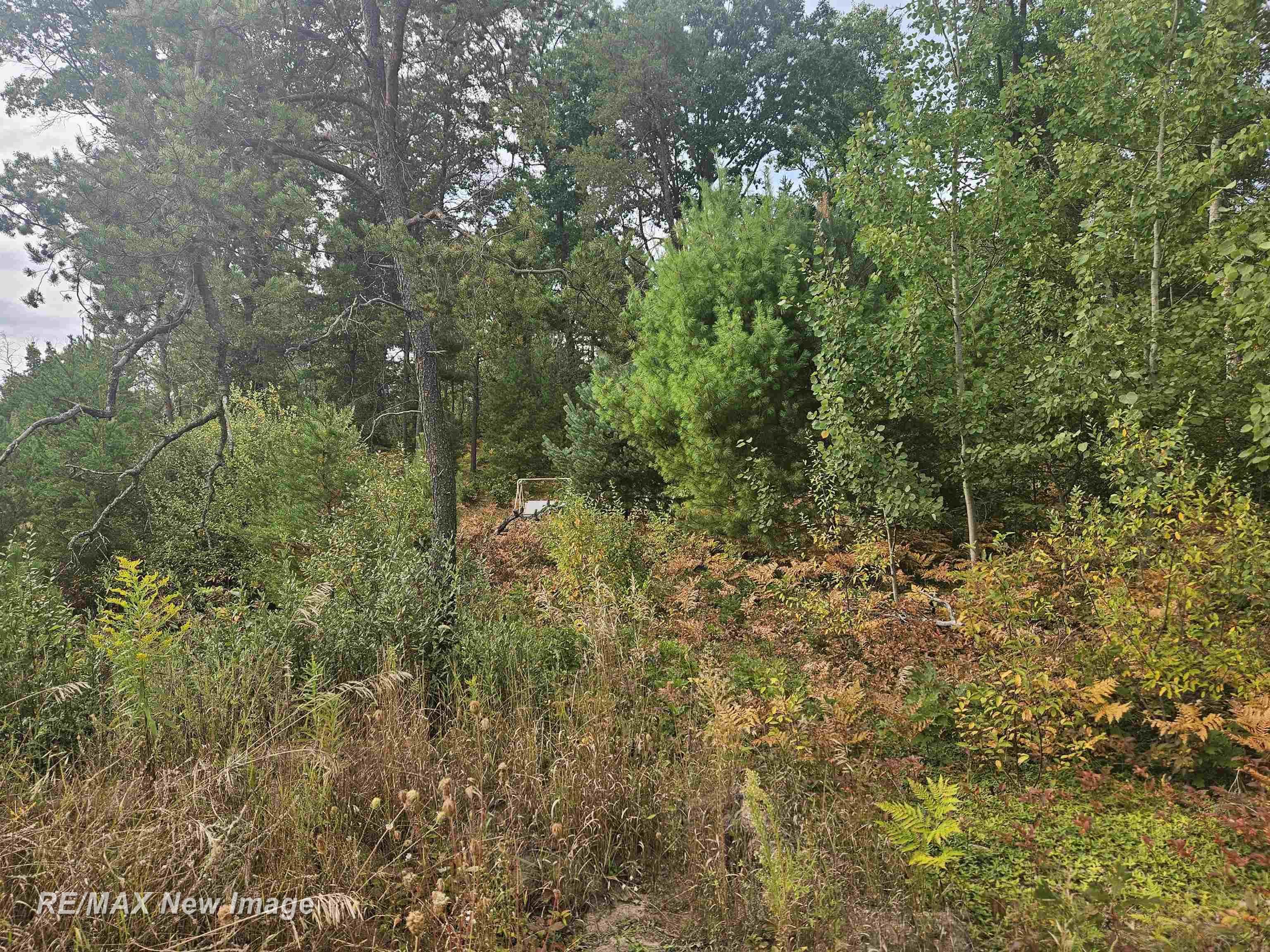 200 W Park Road, Harrison MI 48625 photo 1