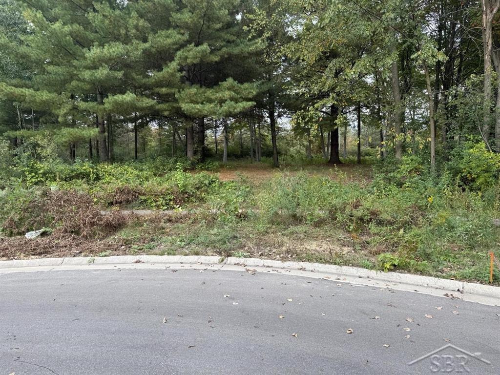 6210 Evergreen Court, Midland MI 48642 photo 1