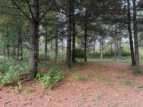 6210 Evergreen Court, Midland MI 48642 photo 3