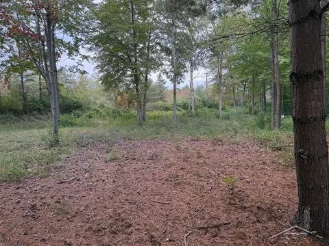 6210 Evergreen Court, Midland MI 48642 photo 4