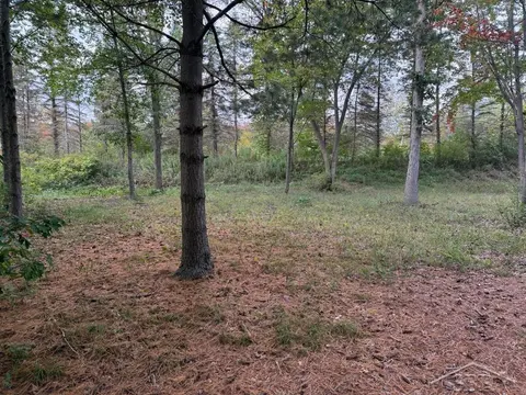 6210 Evergreen Court, Midland MI 48642 photo 5