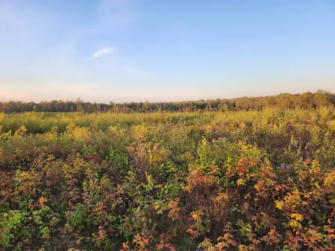 40 Acres (1st) Monroe (Easement) Road, Harrison MI 48625 photo 2
