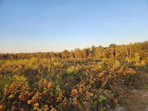 40 Acres (1st) Monroe (Easement) Road, Harrison MI 48625 photo 3