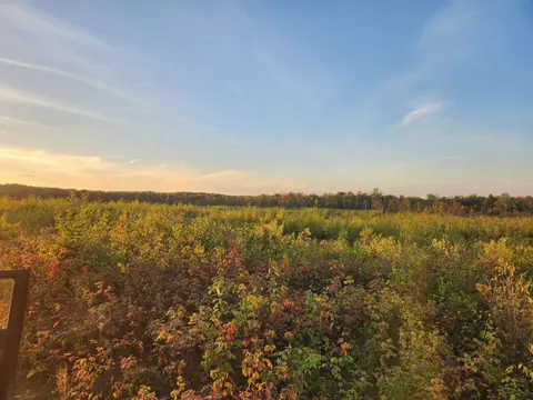 40 Acres (1st) Monroe (Easement) Road, Harrison MI 48625 photo 4