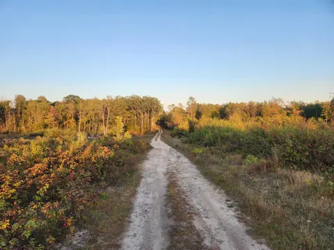 40 Acres (1st) Monroe (Easement) Road, Harrison MI 48625 photo 5