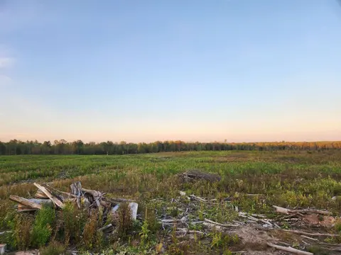 40 Acres (2nd) Monroe (Easement) Road, Harrison MI 48625 photo 2