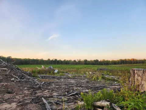 40 Acres (2nd) Monroe (Easement) Road, Harrison MI 48625 photo 3