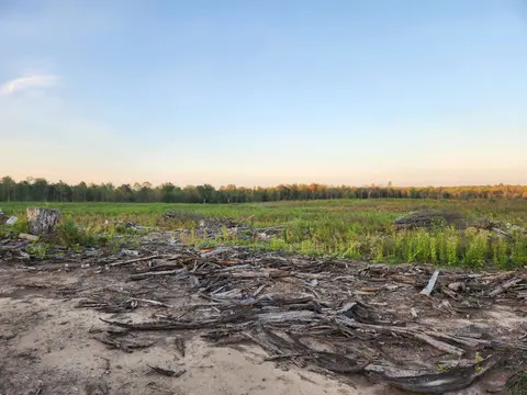 40 Acres (2nd) Monroe (Easement) Road, Harrison MI 48625 photo 5
