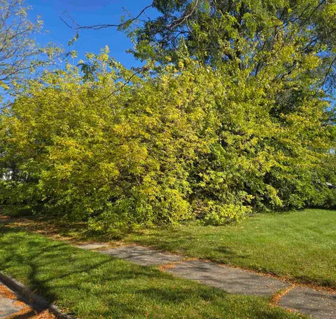 709 Fraser Street, Bay City MI 48708 photo 3