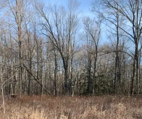 624 E Mckimmy Road, Gladwin MI 48624 photo 3