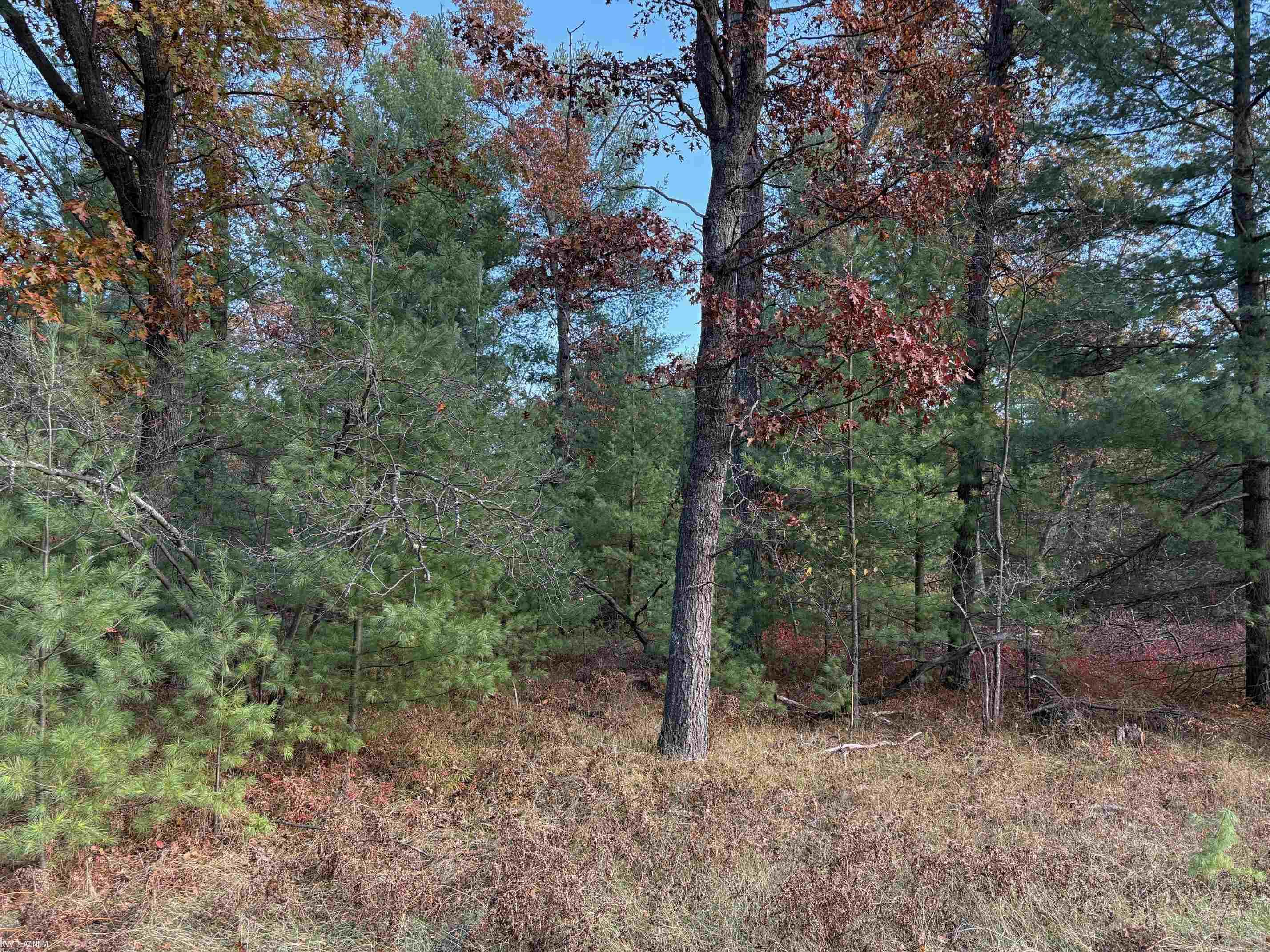 Lot 99 Wilderness Drive, Alger MI 48610 photo 1