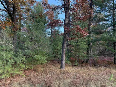 Lot 99 Wilderness Drive, Alger MI 48610 photo 1