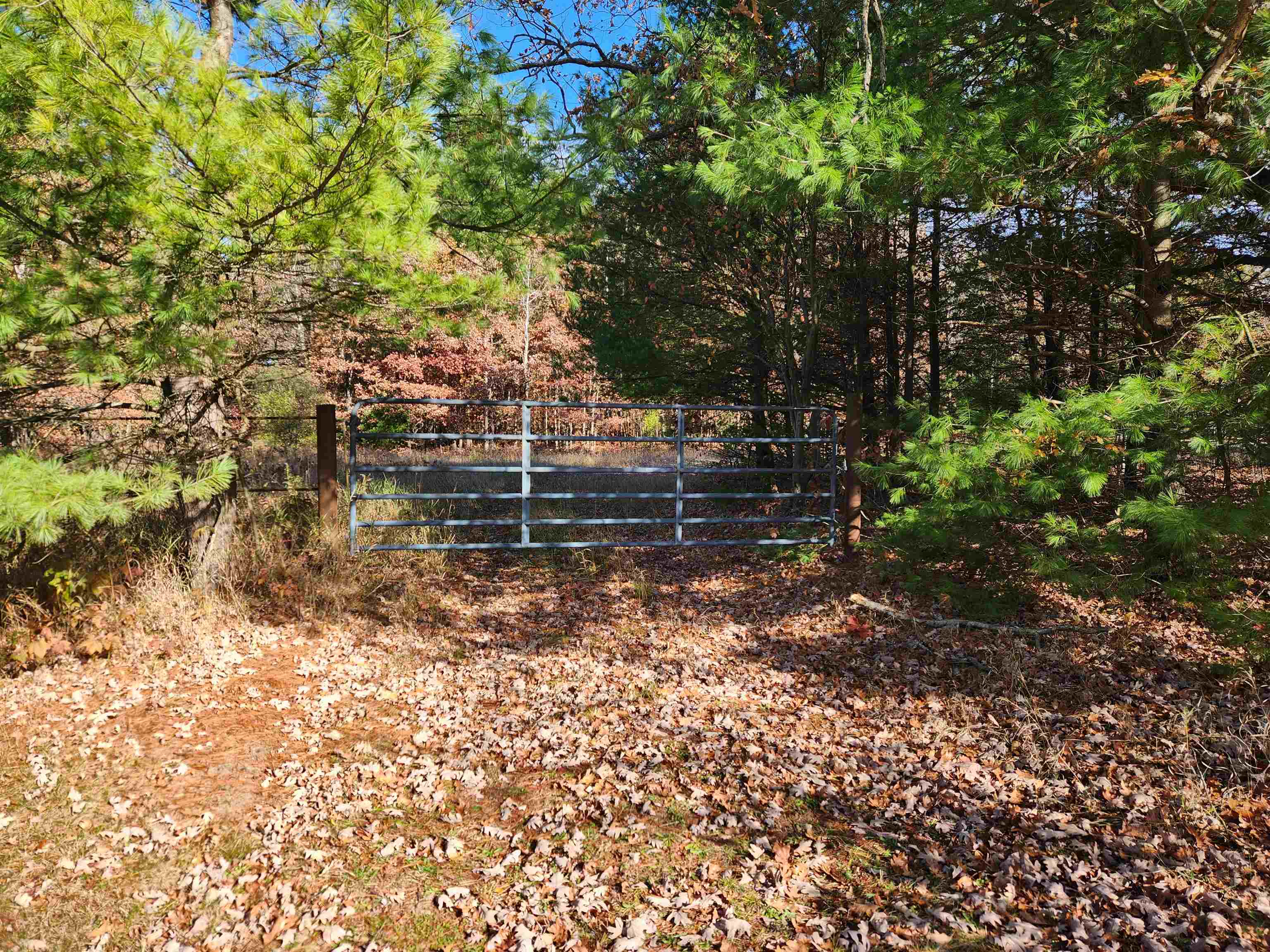 92 ACRES E River Road, Mount Pleasant MI 48858 photo 1