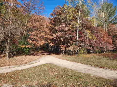 92 ACRES E River Road, Mount Pleasant MI 48858 photo 3