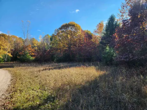 92 ACRES E River Road, Mount Pleasant MI 48858 photo 4