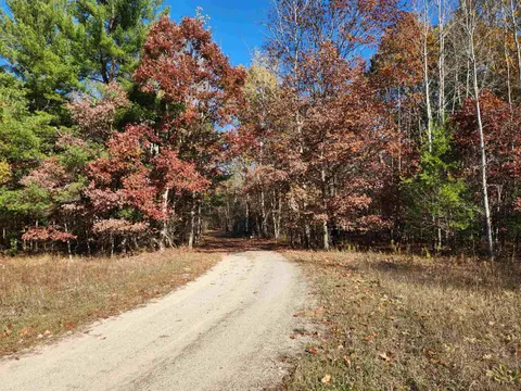 92 ACRES E River Road, Mount Pleasant MI 48858 photo 5