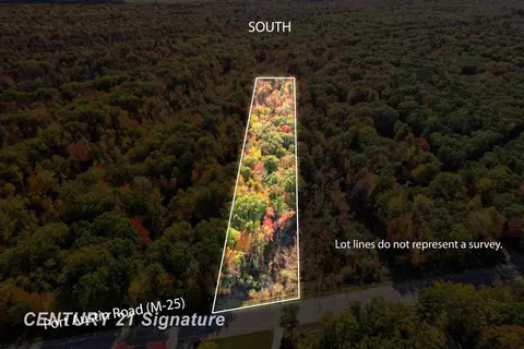 V/L Port Austin Road, Lake MI 48725 photo 3