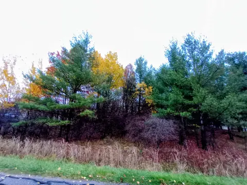 Lot 262 Islander Way, Gladwin MI 48624 photo 1