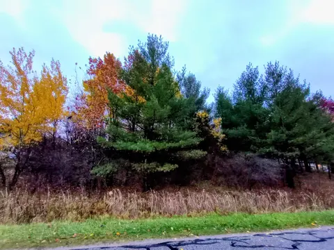Lot 262 Islander Way, Gladwin MI 48624 photo 2