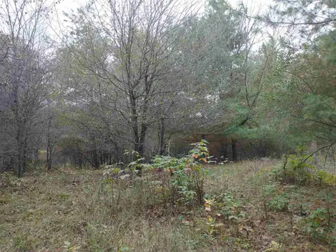 Lot 262 Islander Way, Gladwin MI 48624 photo 3