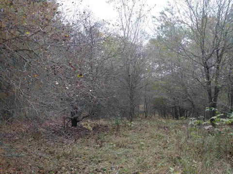 Lot 262 Islander Way, Gladwin MI 48624 photo 4