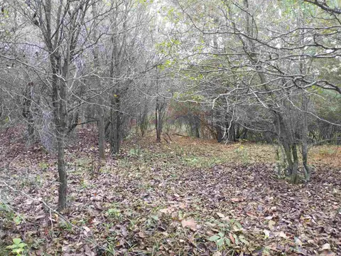 Lot 262 Islander Way, Gladwin MI 48624 photo 5