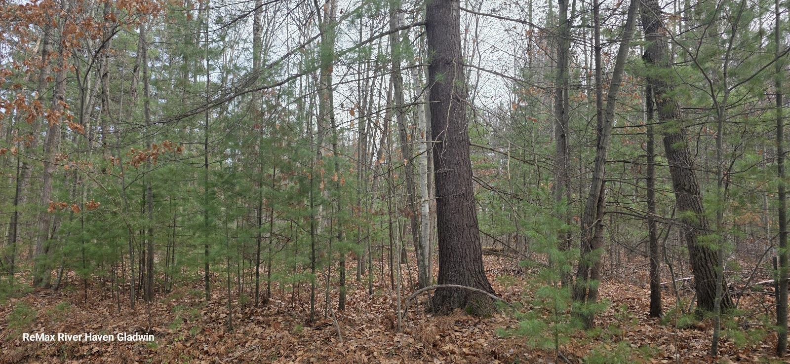 2.17 Acres N Branch Drive, Beaverton MI 48612 photo 1