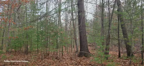 2.17 Acres N Branch Drive, Beaverton MI 48612 photo 1