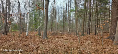 2.17 Acres N Branch Drive, Beaverton MI 48612 photo 3