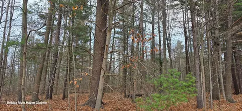 2.17 Acres N Branch Drive, Beaverton MI 48612 photo 4