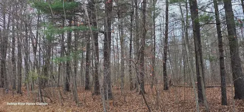 2.17 Acres N Branch Drive, Beaverton MI 48612 photo 5