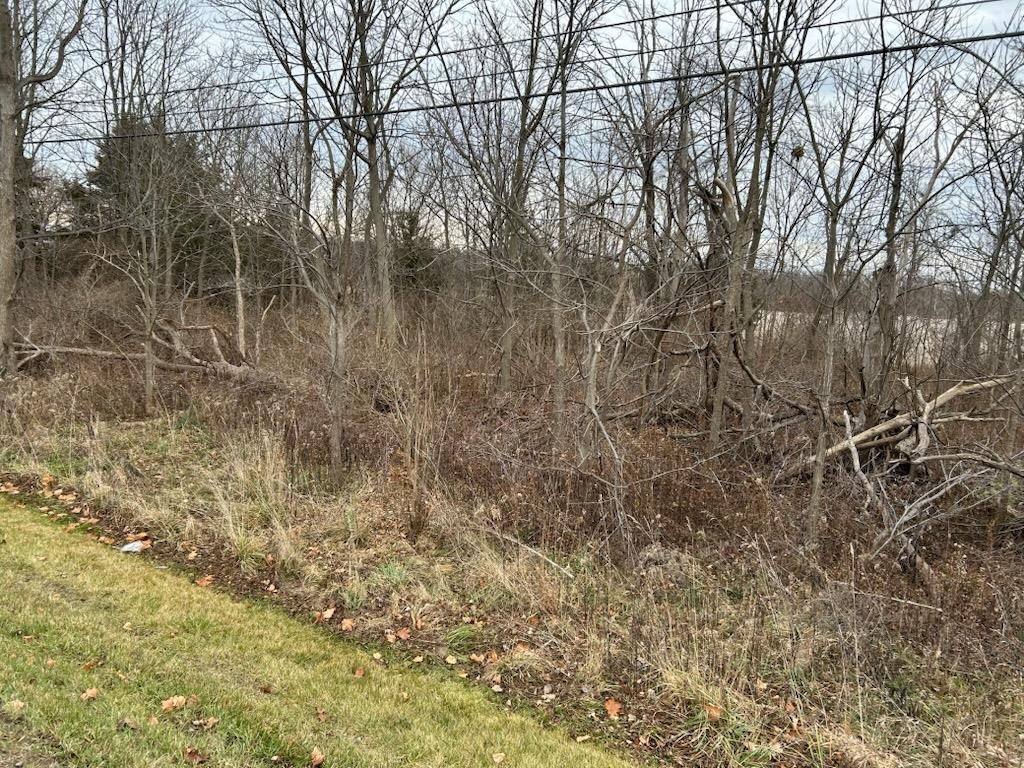 7690 M-71 Highway, Durand MI 48429 photo 1