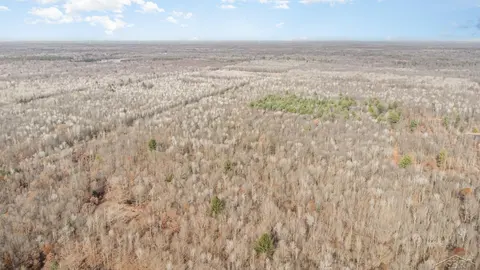 S County Line Road, Shepherd MI 48883 photo 5