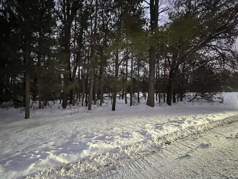 lot 37 & 38 Temple Heights Road, Harrison MI 48625 photo 2
