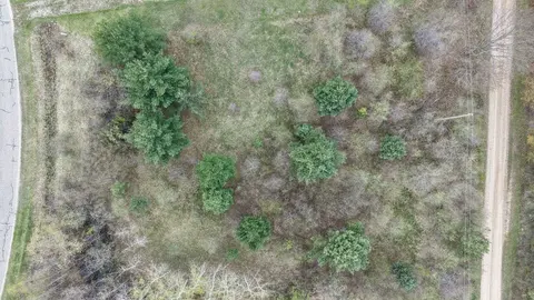 Lot 4 Hampton Drive, Gladwin MI 48624 photo 4
