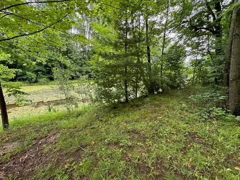 4141 Wieman Road, Beaverton MI 48612 photo 3