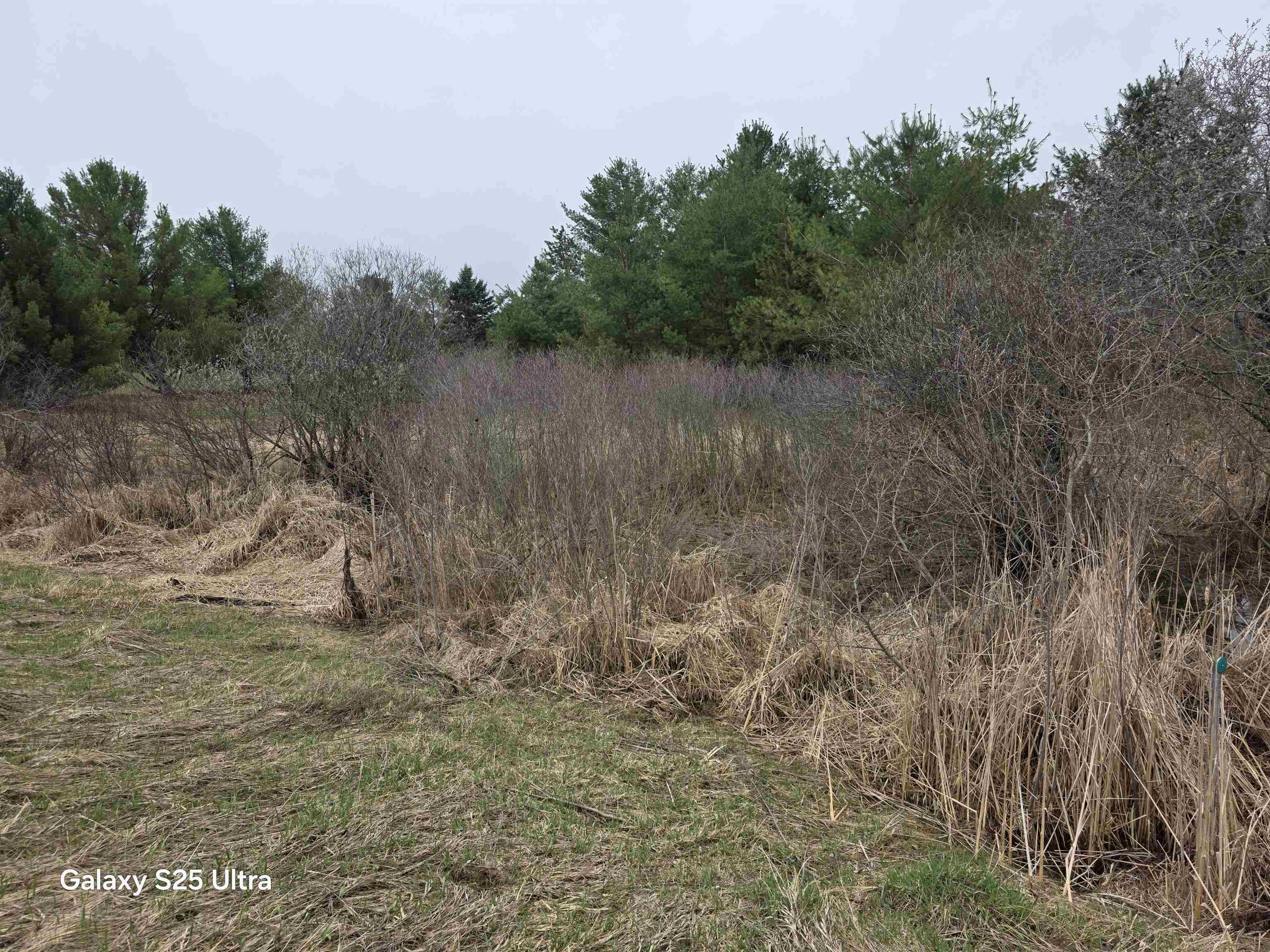 lot 551 Hockaday Rd Road, Gladwin MI 48624 photo 1