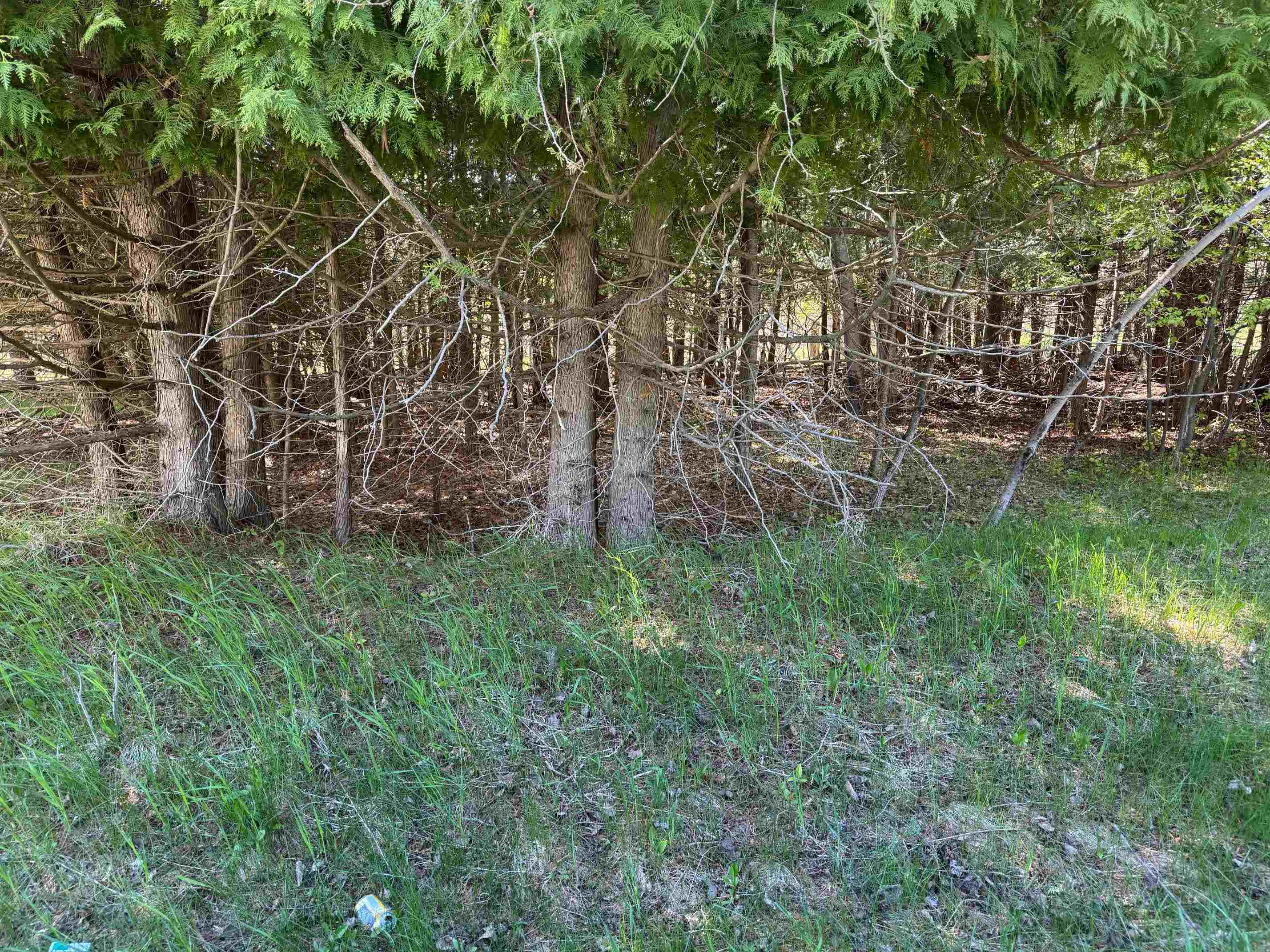Lot 230 Kings Way, Gladwin MI 48624 photo 1